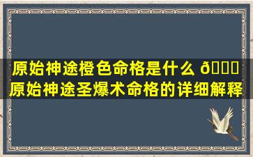 原始神途橙色命格是什么 🍀 「原始神途圣爆术命格的详细解释 🦆 」